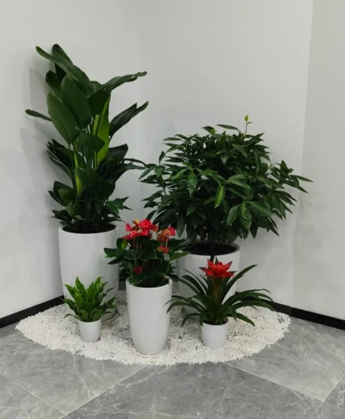 奉化景观绿植租摆原来还能这样用，太实用了